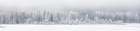 Wyoming, Jackson. Grand Teton NP, Panoramic of frost-covered trees on a foggy morning at Oxbow Bend Art Print